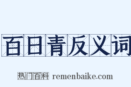 百日青反义词是什么意思的图片